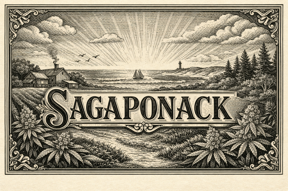 The New Standard in Legal Flower Delivery