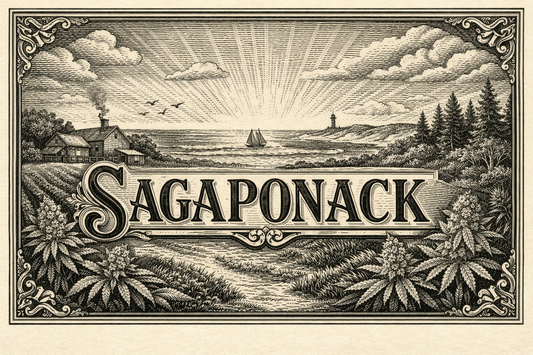 The New Standard in Legal Flower Delivery