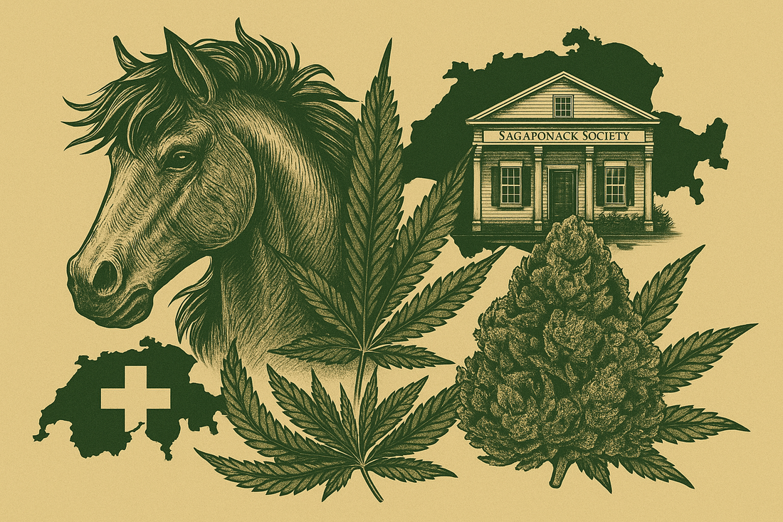 Why Switzerland Trusts Sagaponack Society