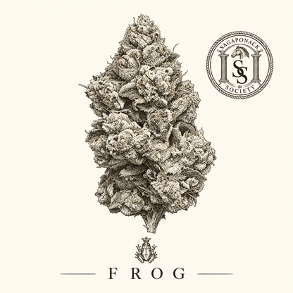 FROG 26 Grams