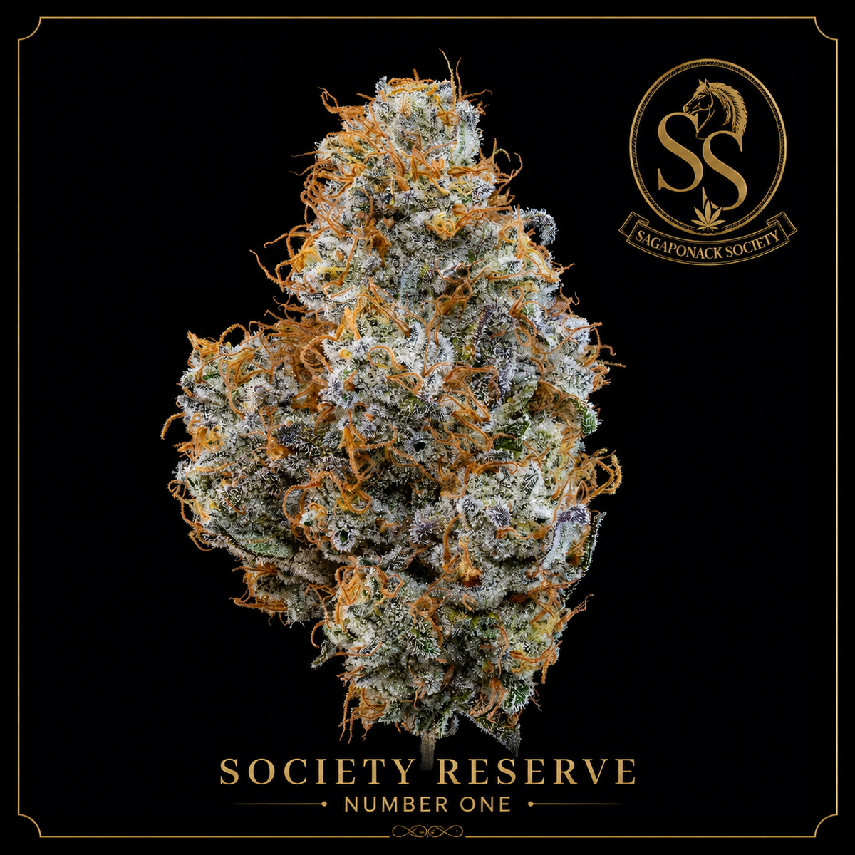 Society Reserve No. 01 26 Grams