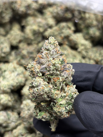 FROG 26 Grams