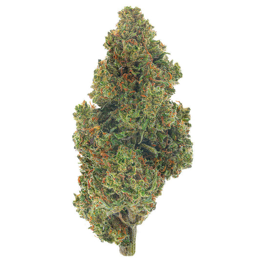 Jack Herrer 26 Grams