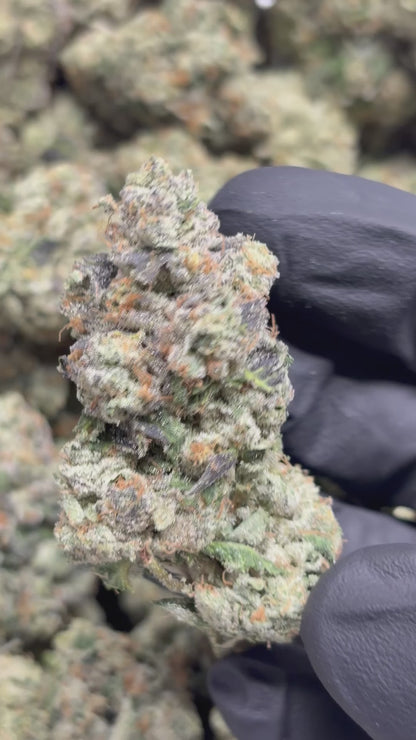 FROG 26 Grams